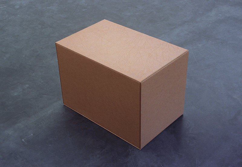 Ttowierte Kiste, 2007