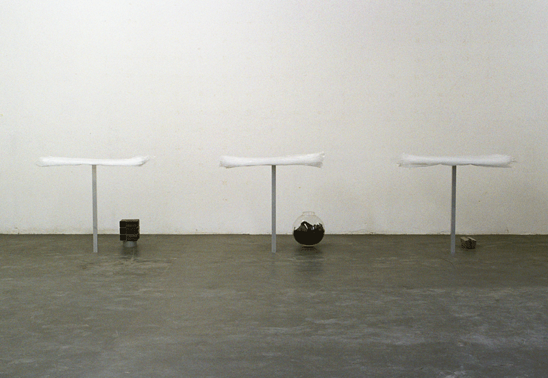 O.T. (Grenze), 2006